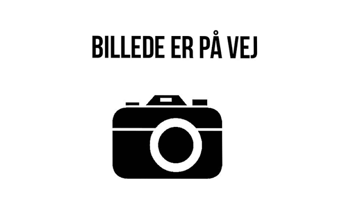 Malerprojekt 1